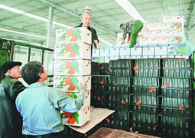 東寧奏響全面振興強(qiáng)音，農(nóng)副產(chǎn)品沿邊開放拓新局