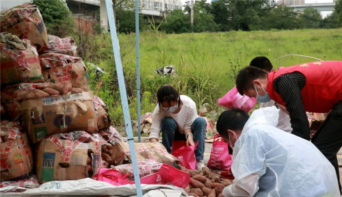 大愛接力 武漢志愿者團(tuán)助力臨沂農(nóng)副產(chǎn)品銷售，推動機(jī)械設(shè)備研發(fā)